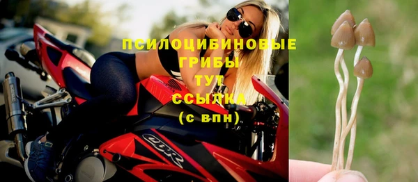 прущие грибы Балабаново