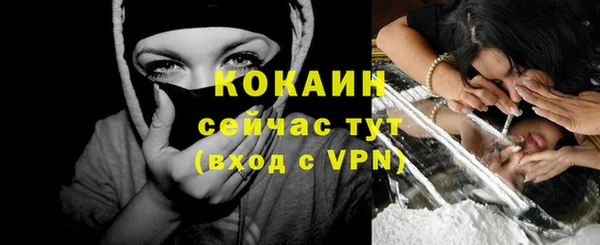 прущие грибы Зерноград
