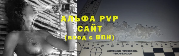 прущие грибы Балабаново