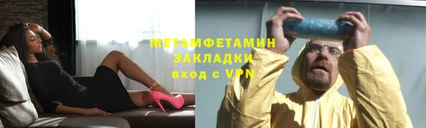 прущие грибы Балабаново