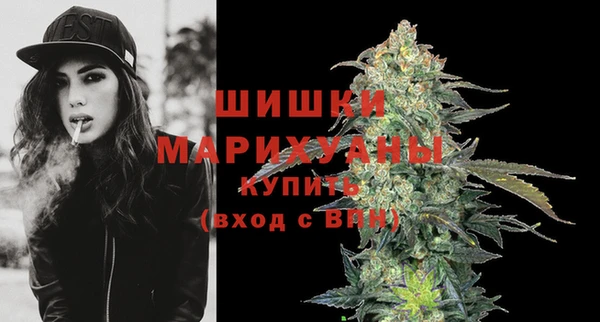 прущие грибы Балабаново