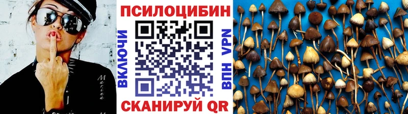 Псилоцибиновые грибы GOLDEN TEACHER  гидра ссылки  Вичуга 